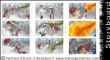 Illus_Layout_Storyboard-2.jpg